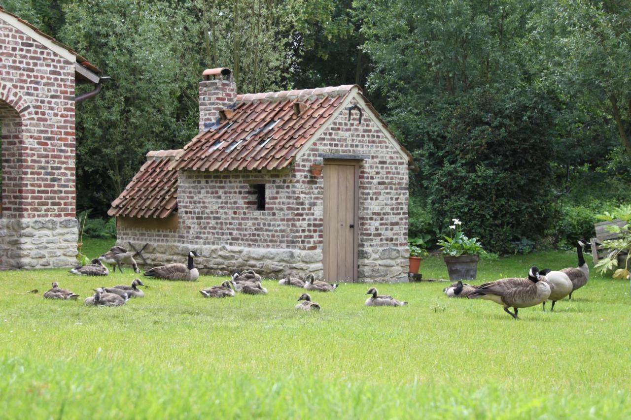 Appartement Logies Tommenmolen à Grimbergen Extérieur photo